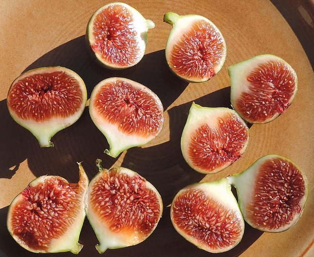 Ficus carica 'Cendrosa' : vari�t� non sensible aux attaques de Silba adipata McAlpine - int�rieur figues m�res
