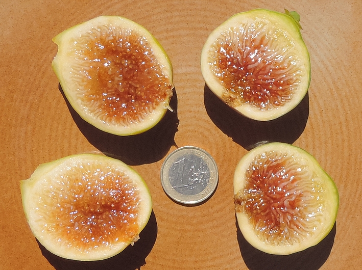 Int�rieur des figues m�res de la vari�t� 'Miel du Portugal'.