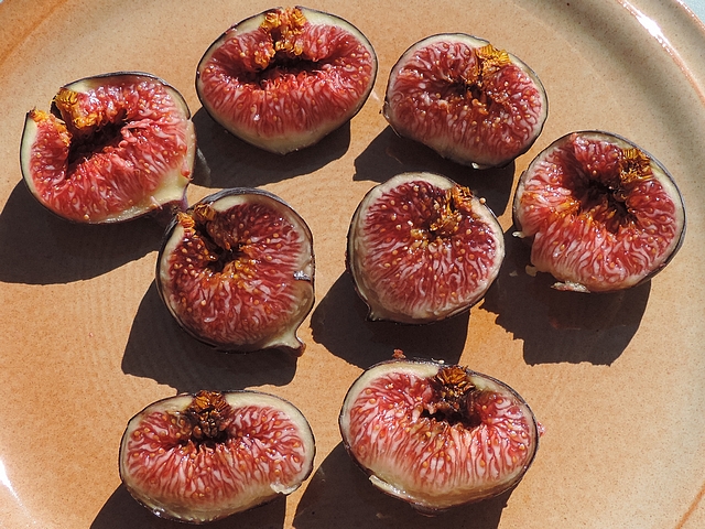 Figues m�res de la vari�t� 'Bourjassotte Noire' avec moisissure interne