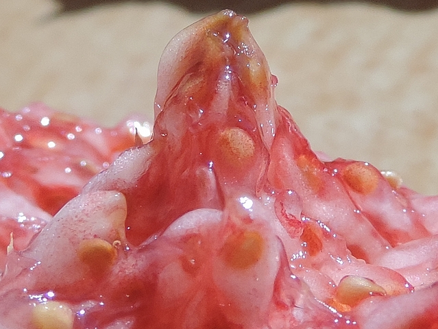 Fruits brunis par la moisissure � l'int�rieur d'une figue m�re