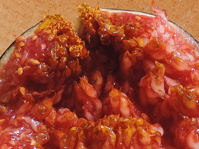 Moisissure sur les �cailles ostiolaires et sur certains fruits dans une figue m�re