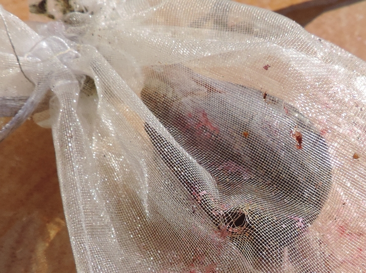 Sachet en organza trou� par les coups de bec d'une pie (p�riode des figues m�res)