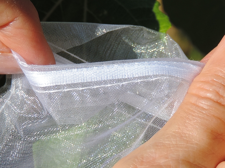 Sachet en organza avec collerette retourn�e � l'int�rieur sur un c�t� seulemen