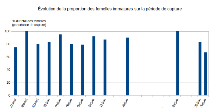 Silba adipata McAlpine : �volution de la proportion des femelles immatures (2025).
